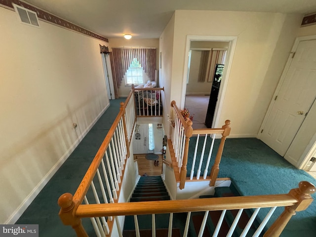 stairs featuring carpet floors