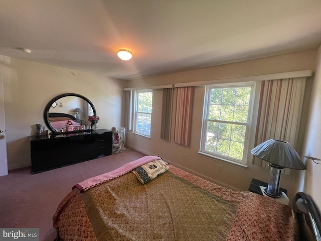 carpeted bedroom with multiple windows