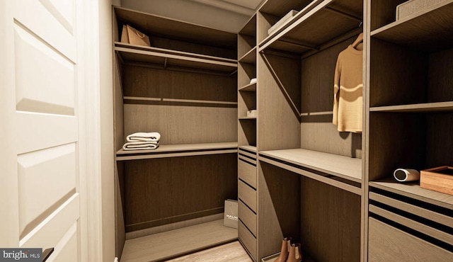 walk in closet with light hardwood / wood-style flooring