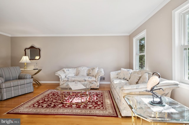 living room featuring ornamental molding and hardwood / wood-style floors