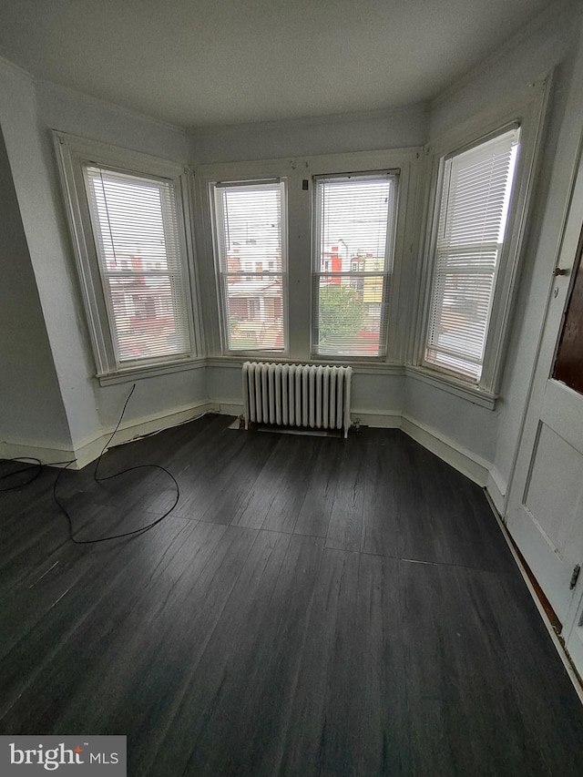 interior space featuring dark hardwood / wood-style flooring and radiator heating unit