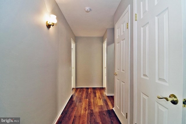 hallway featuring dark wood-type flooring