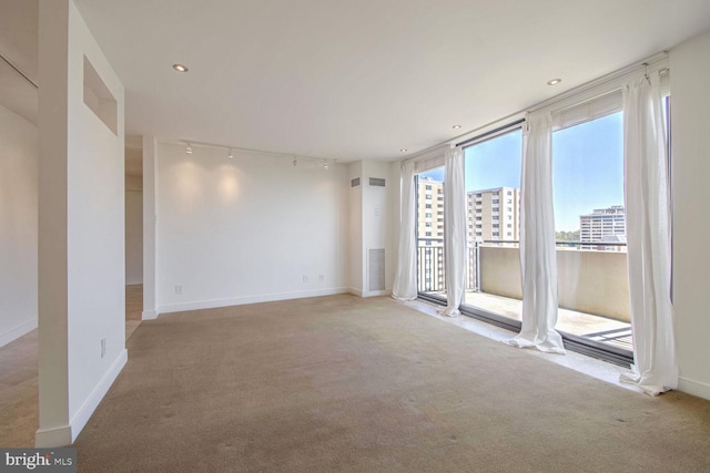 carpeted spare room featuring rail lighting and plenty of natural light