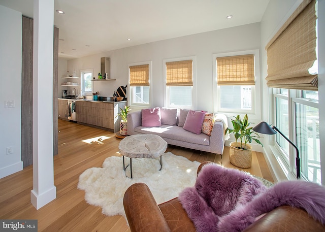 living room featuring sink and light wood-type flooring