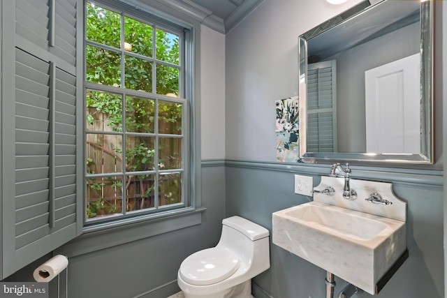 bathroom featuring toilet, ornamental molding, and sink