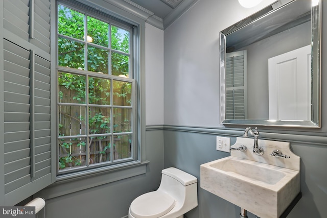 bathroom featuring toilet, ornamental molding, and sink