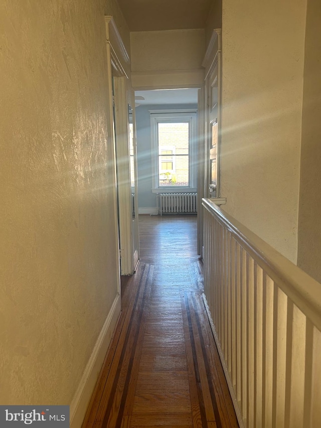 corridor with radiator heating unit and dark hardwood / wood-style floors