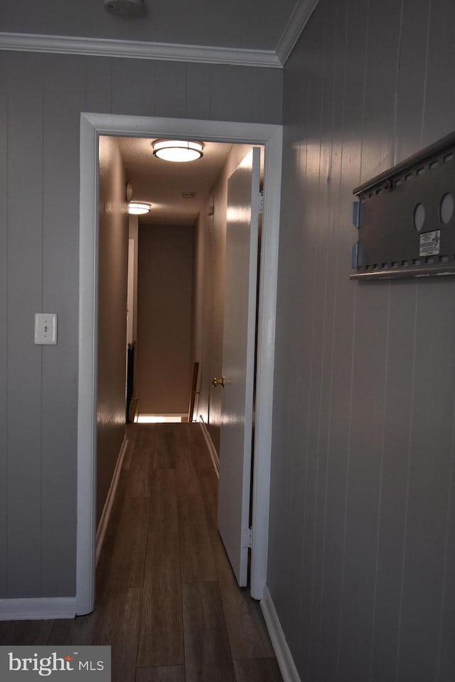 corridor with ornamental molding, dark hardwood / wood-style floors, and wood walls