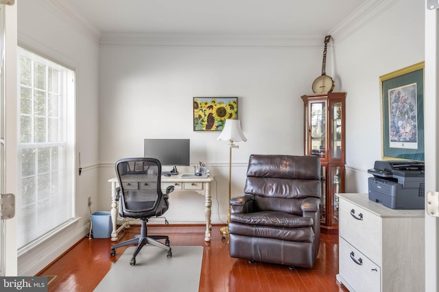 office space with hardwood / wood-style flooring and ornamental molding