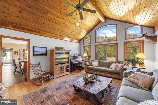 living room with high vaulted ceiling, wood ceiling, ceiling fan, beamed ceiling, and hardwood / wood-style flooring