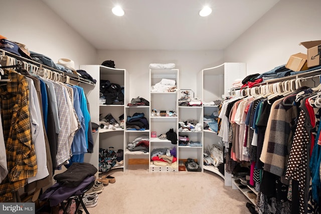 spacious closet featuring carpet floors