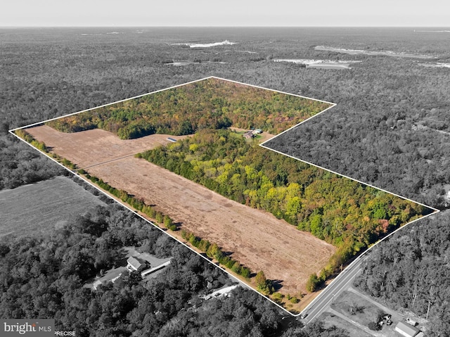 7000 Sockwell Rd, Port Norris, NJ 08349 - aerial view featuring a wooded view