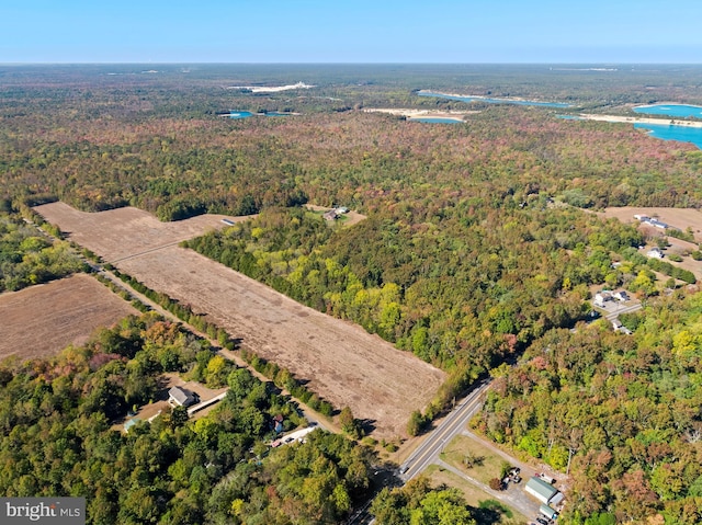 7000 Sockwell Rd, Port Norris, NJ 08349 - drone / aerial view featuring a forest view