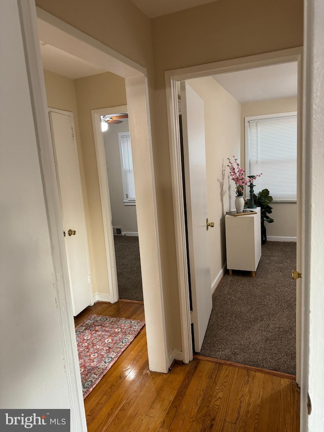 hall featuring hardwood / wood-style flooring