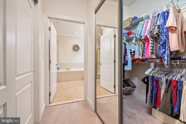 spacious closet with light carpet