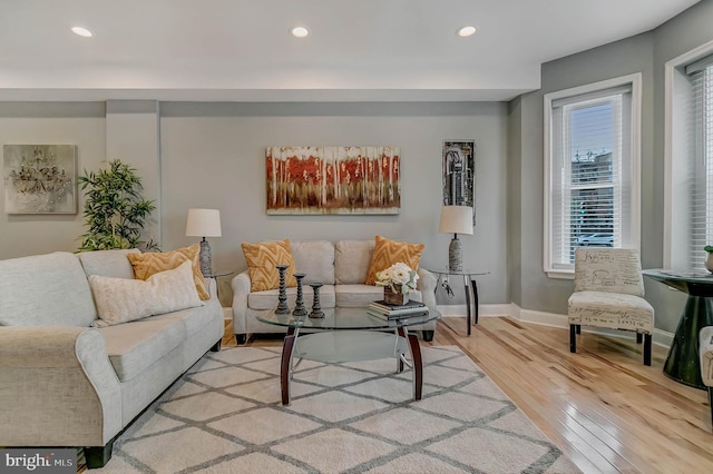 living room featuring hardwood / wood-style flooring