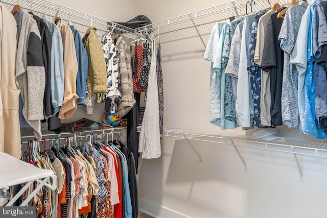 view of spacious closet