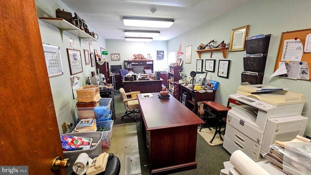 view of carpeted home office