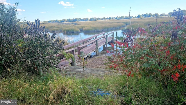 dock area with a water view