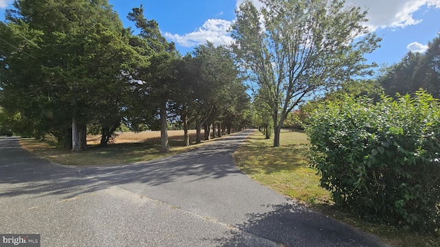 view of road