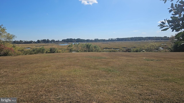 view of yard with a rural view