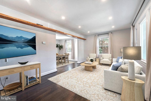 living room featuring dark wood-type flooring