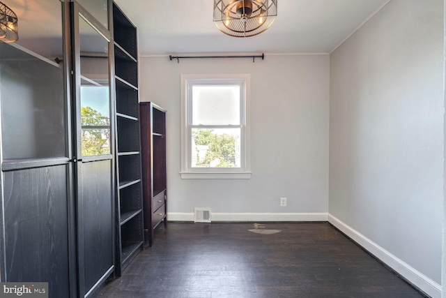 spacious closet with dark wood-type flooring