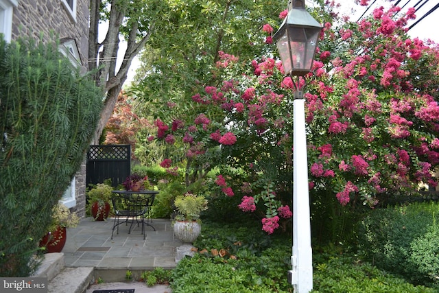 view of yard with a patio area