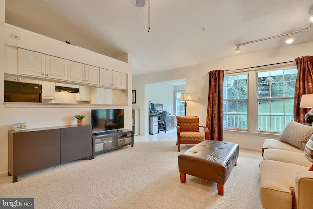 carpeted living room with track lighting