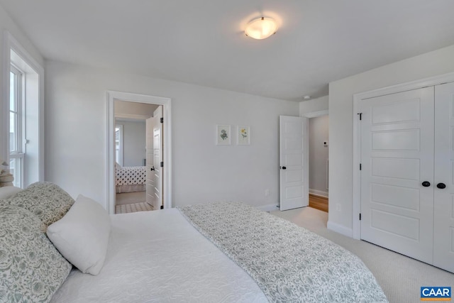 bedroom featuring a closet, connected bathroom, and light carpet