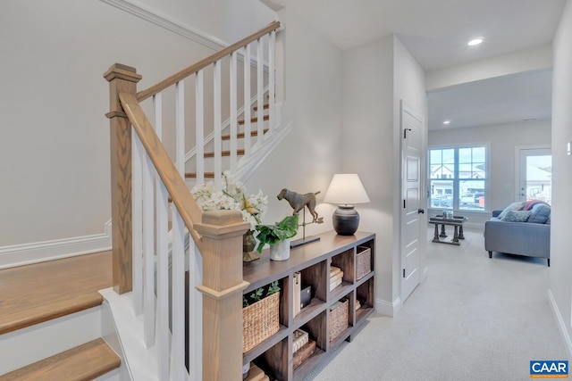 stairs featuring carpet floors