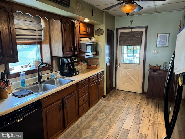 kitchen featuring sink, light hardwood / wood-style floors, dishwasher, and a wealth of natural light