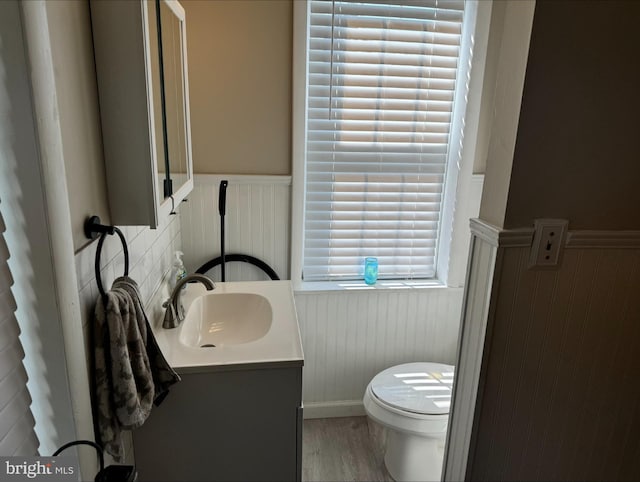 bathroom featuring toilet, hardwood / wood-style floors, and vanity