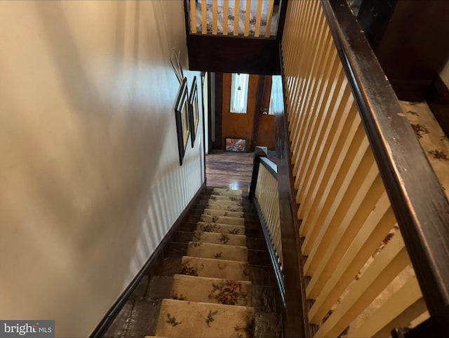 staircase featuring wood-type flooring