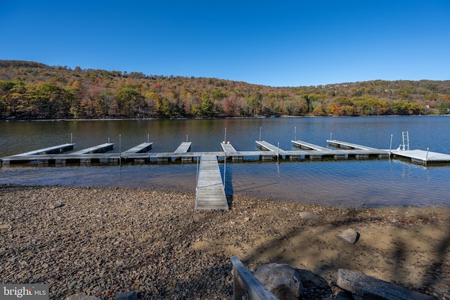 view of dock featuring a water view