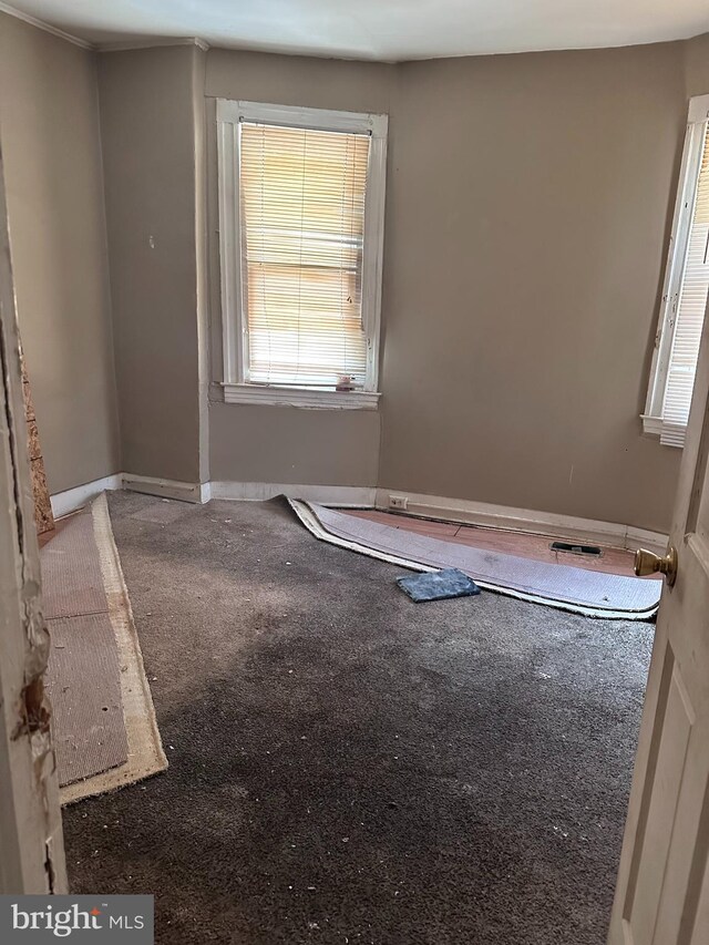 empty room featuring a wealth of natural light and carpet