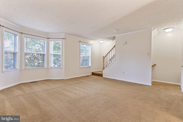 spare room featuring light carpet, a textured ceiling, and crown molding