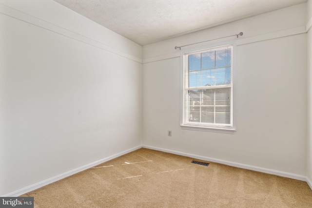 empty room with carpet floors and a textured ceiling