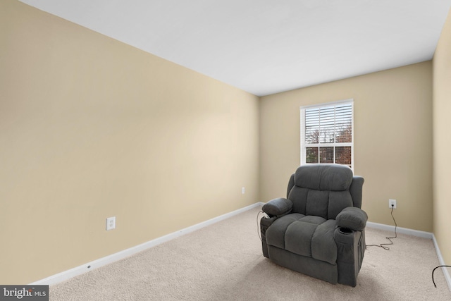 sitting room featuring light carpet