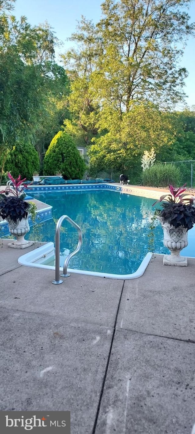 view of swimming pool featuring a patio area