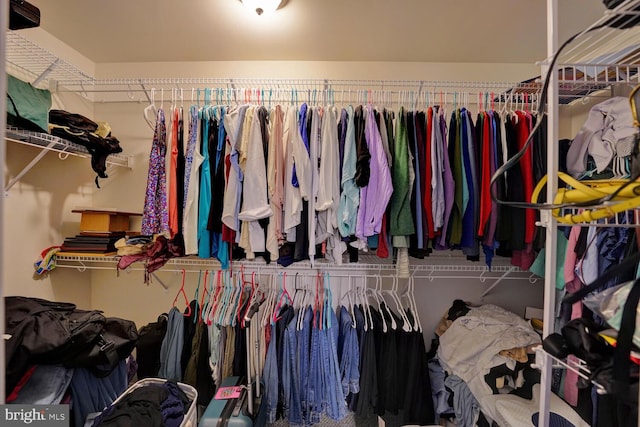 view of spacious closet