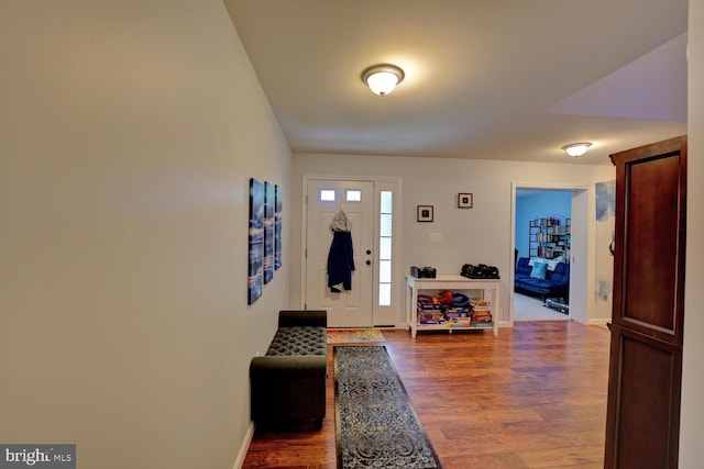 entryway featuring wood-type flooring