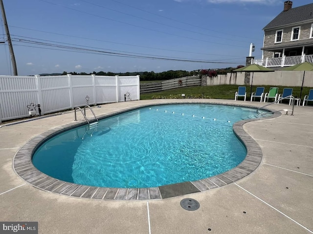 view of pool with a patio area