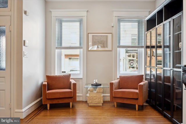 living area featuring plenty of natural light and hardwood / wood-style floors