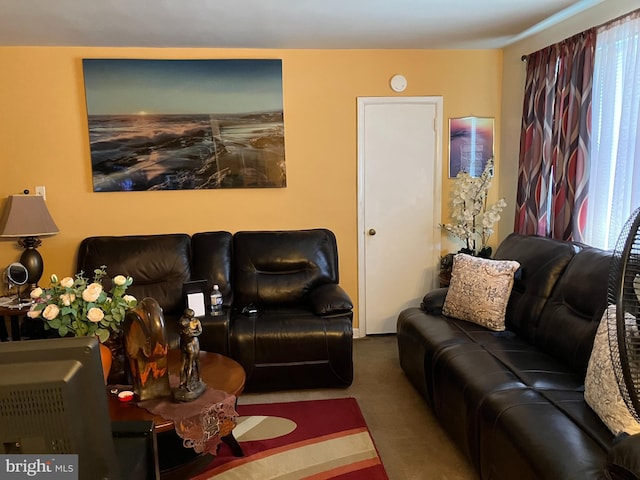 living room with carpet floors