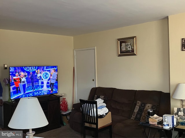 living room featuring carpet floors