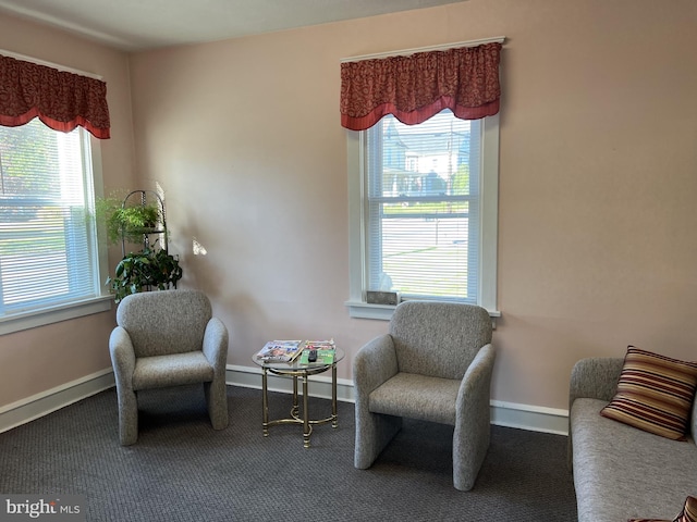 sitting room with carpet and a healthy amount of sunlight