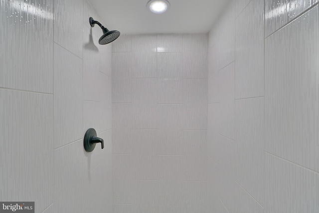 room details with tiled shower