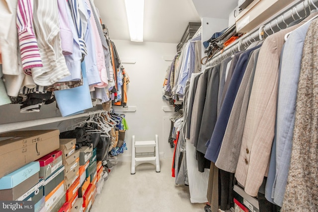 spacious closet with light carpet