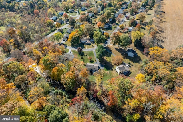 aerial view